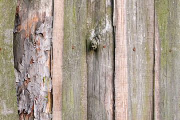 texture of the wooden fence old boards in village