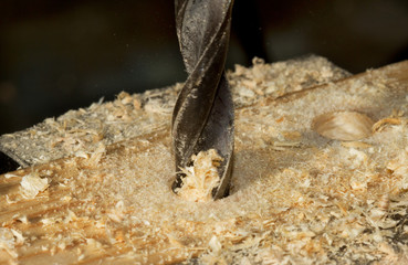 Wood drill in action