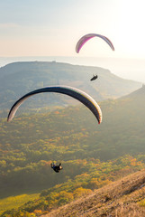 Paragliders in sunny day flying in Palava, hill Devin, South Moravia, Czech Republic - obrazy, fototapety, plakaty