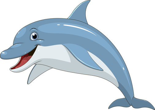 Cartoon Dolphins Images – Browse 36,134 Stock Photos, Vectors, and Video |  Adobe Stock