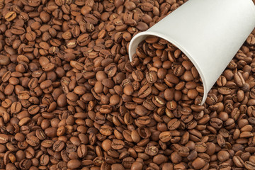 Coffee beans in a paper cup