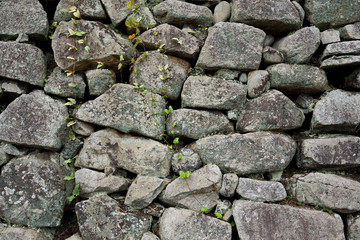 Stone wall texture