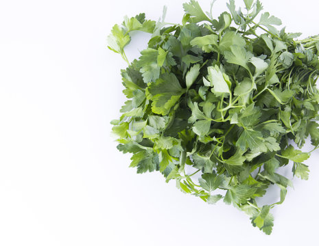 parsley on white backgorund