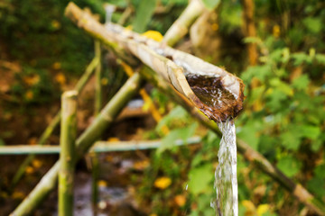 Lam bamboo spout. Irrigation of rural.