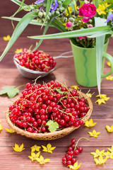 Red currants on a background of flowers. Wooden table. Close-up