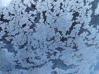 The frozen snowflakes on window