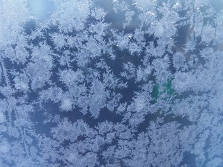 The beauty of frozen snowflakes