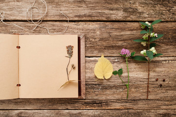 Drying up plants in scrapbook, flat lay. Top view on vintage album with herbarium samples, free space, old wooden background. Art, hobby, floristic, craft, science, creativity concept
