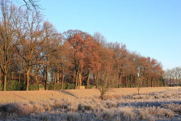 Winter idyll in The Netherlands