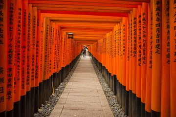 The Endless Red Gates of Kyoto's Fushimi Inari Shrine, Kyoto, Japan