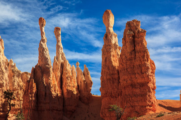 Fototapeta premium Stone Hoodoos in Bryce Canyon National Park.