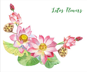 Fototapeta na wymiar Lotus Flowers. Hand drawn illustration