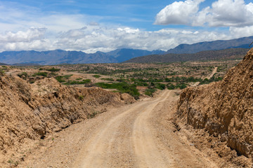 Fototapeta na wymiar Desert Road: A rough dirt way