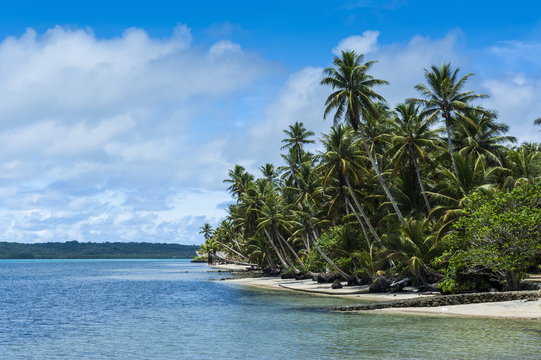 Beautiful white sand beach and palm trees on the island of Yap, Federated States of Micronesia, Caroline Islands 