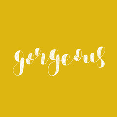 Fototapeta premium Gorgeous. Brush lettering vector illustration.