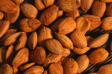 Apricot kernels are scattered on the wooden background