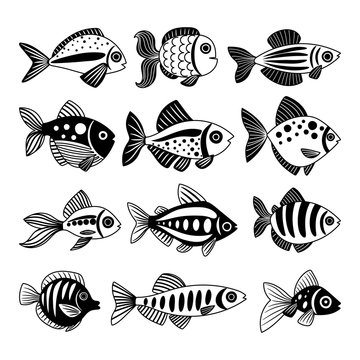 Network illustration with decorative fish. Cartoon style. Freehand drawing