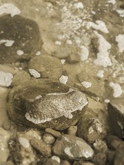 Tidal Rocks