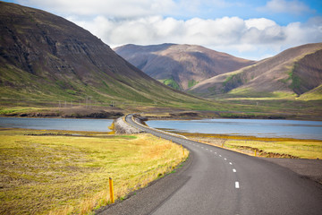 Endless Icelandic Highway
