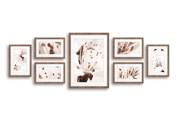 Group of frames with floral motif posters isolated on white background. Interior decor idea