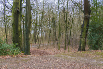 Obraz premium Herbst in Pellens-Park