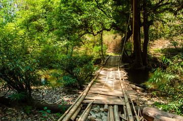 Wood bridge in forest , Kanchanaburi, Thailand