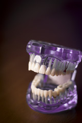 Denture for dentistry students