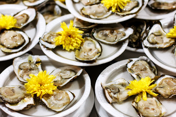 Obraz na płótnie Canvas Served portion of fresh oysters on plastic plates