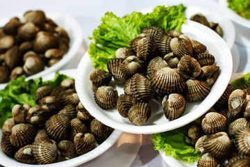 Seashells portions on plastic plates