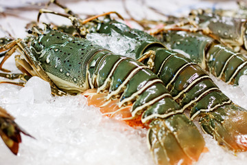 Street food in Asia spiny lobsters close-up