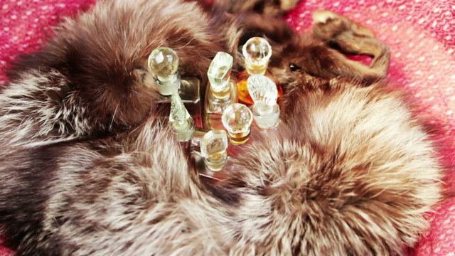 Group of the glass bottles of perfume and the silver fox fur