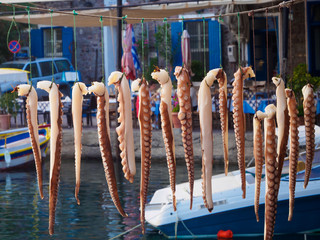 Drying octopus tentacles in Molyvos, Greece © monigre