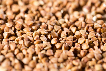 buckwheat as background