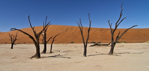 Sossusvlei in Namibia