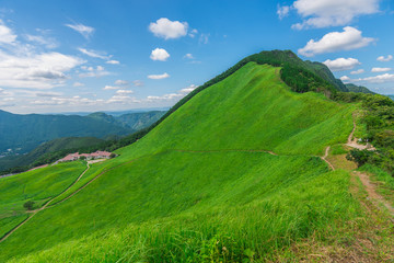 Fototapeta premium Greengrass at Soni plateau,Nara Prefecture ,Japan