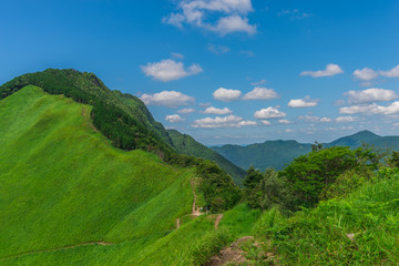 Greengrass at Soni plateau,Nara Prefecture ,Japan