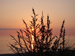 Fototapeta premium sunrise