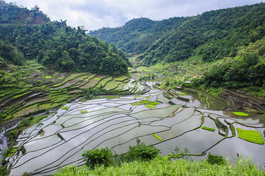 The Rice Terraces Of Banaue, Northern Luzon, Philippines