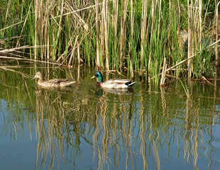 на прогулке