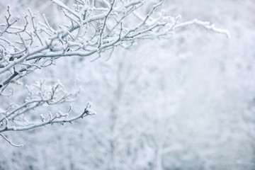 winter background