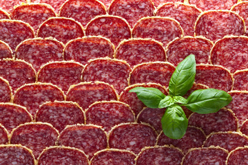 Salami sausage slices with green basil