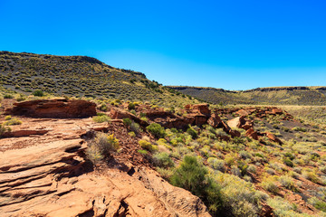 Arizona desert landscape