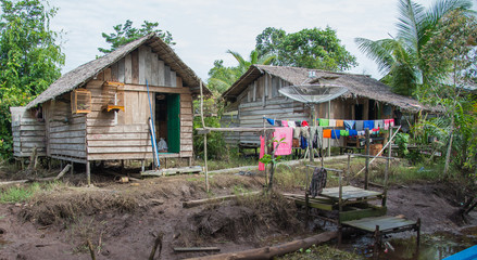 Fototapeta premium Two poor wooden huts on the banks of a small marshy river at low tide (Indonesia)