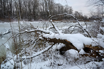 River frozen after snowstorm