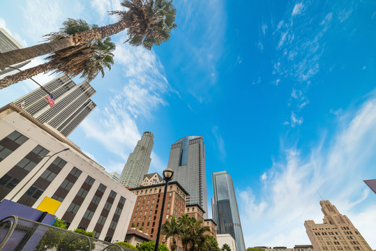 palms and skyscrapers in downtown Los Angeles