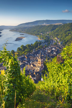 Church of St. Peter (Sankt Peter) (Peterskirche), Bacharach on the River Rhine, Rhineland Palatinate, Germany