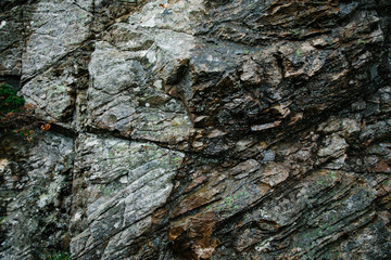 texture of old wet rock