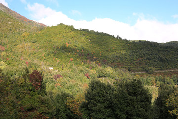 Fototapeta na wymiar Autumn landscape on Corsica Island, France