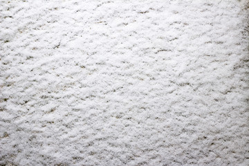 Snow carpet, close up