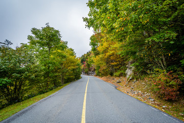 Early autumn color along the road to Grandfather Mountain, North